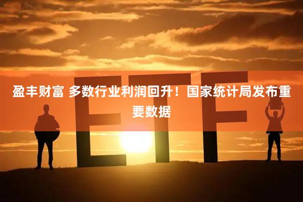 盈丰财富 多数行业利润回升！国家统计局发布重要数据